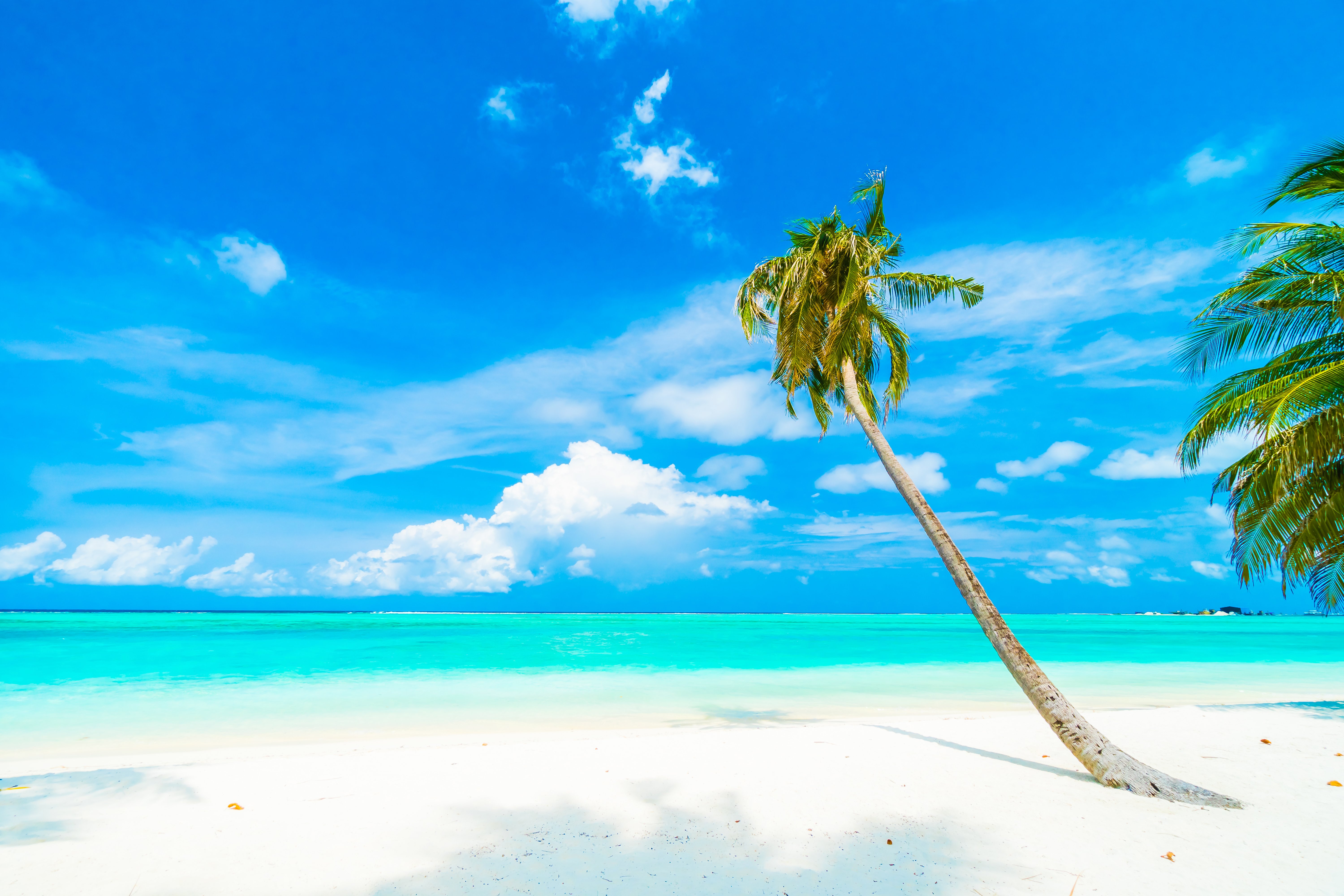maldives (10)-1